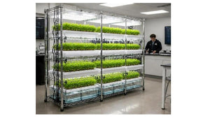 CHIEF Container SystemCHIEF Container System--The Future of Farming--The Future of Farming