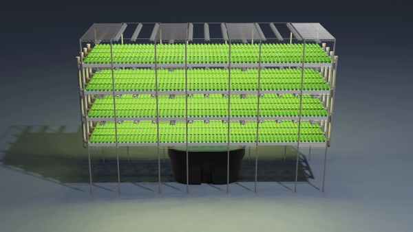 CHIEF--Family Size Indoor Farming Systems