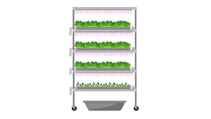 CHIEF--Family Size Indoor Farming Systems