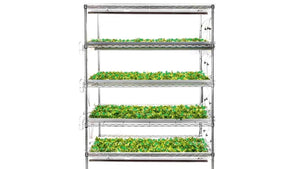 CHIEF --Classroom Hydroponic System--The Future of Farming